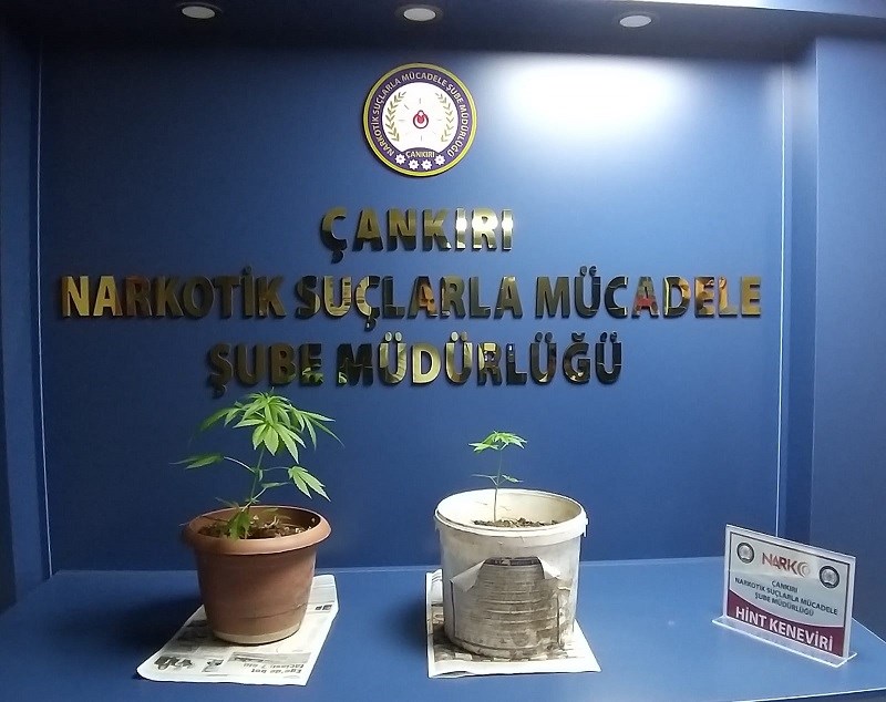 26.06.2019